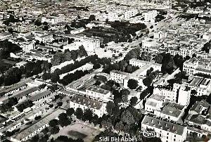 Sidi bel abbes 393